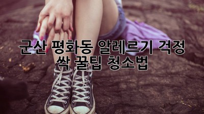 🏡 군산 평화동 알레르기 걱정 싹! 꿀팁 청소법 🧹